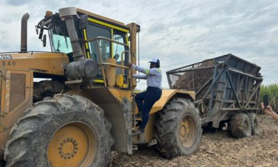 Sin miedo ni prejuicios, mujeres se abren camino en una industria masculinizada, ¿cómo lo hicieron?