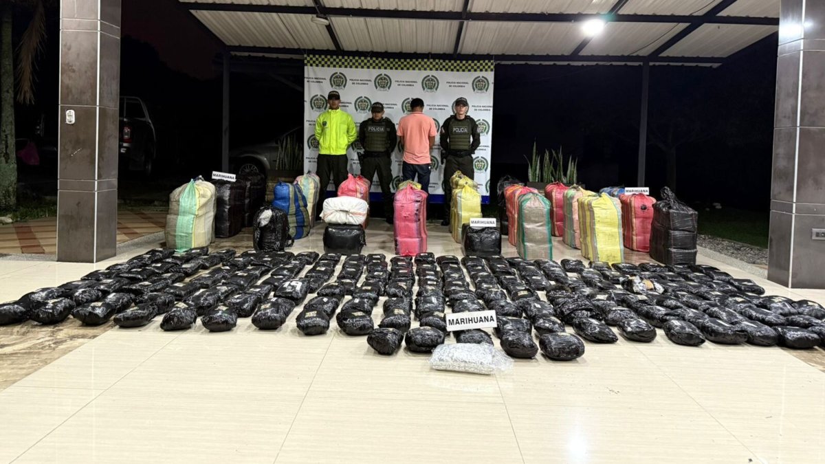 incautan más de un millón de dosis de alucinógenos