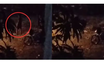 Autoridades investigan la desaparición de un joven que se lanzó al arroyo El Salao en Soledad: Aún se desconoce su identidad