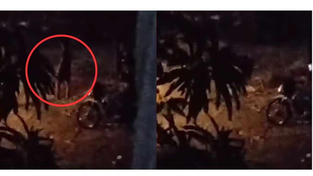 Autoridades investigan la desaparición de un joven que se lanzó al arroyo El Salao en Soledad: Aún se desconoce su identidad