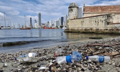 estudio revela grave impacto en playas, manglares y fauna marina