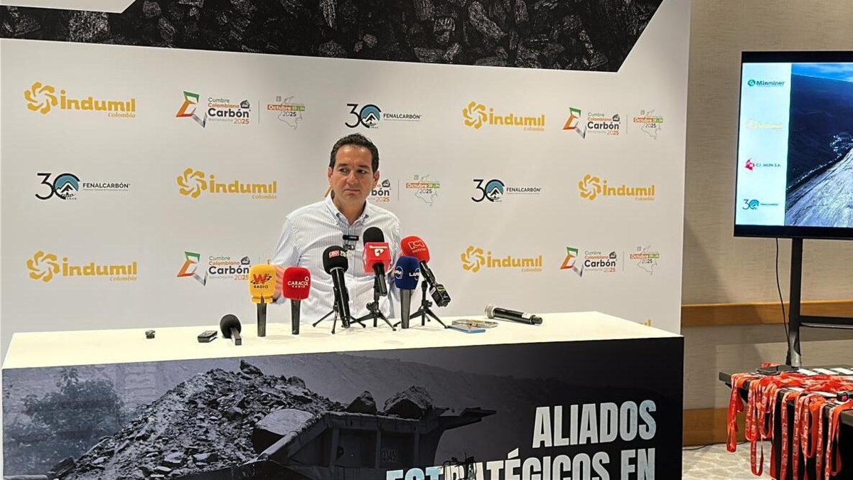 La exportación del carbón cayó en 34%, las pérdidas son millonarias y el sector hace un duro llamado al gobierno ¿qué piden?