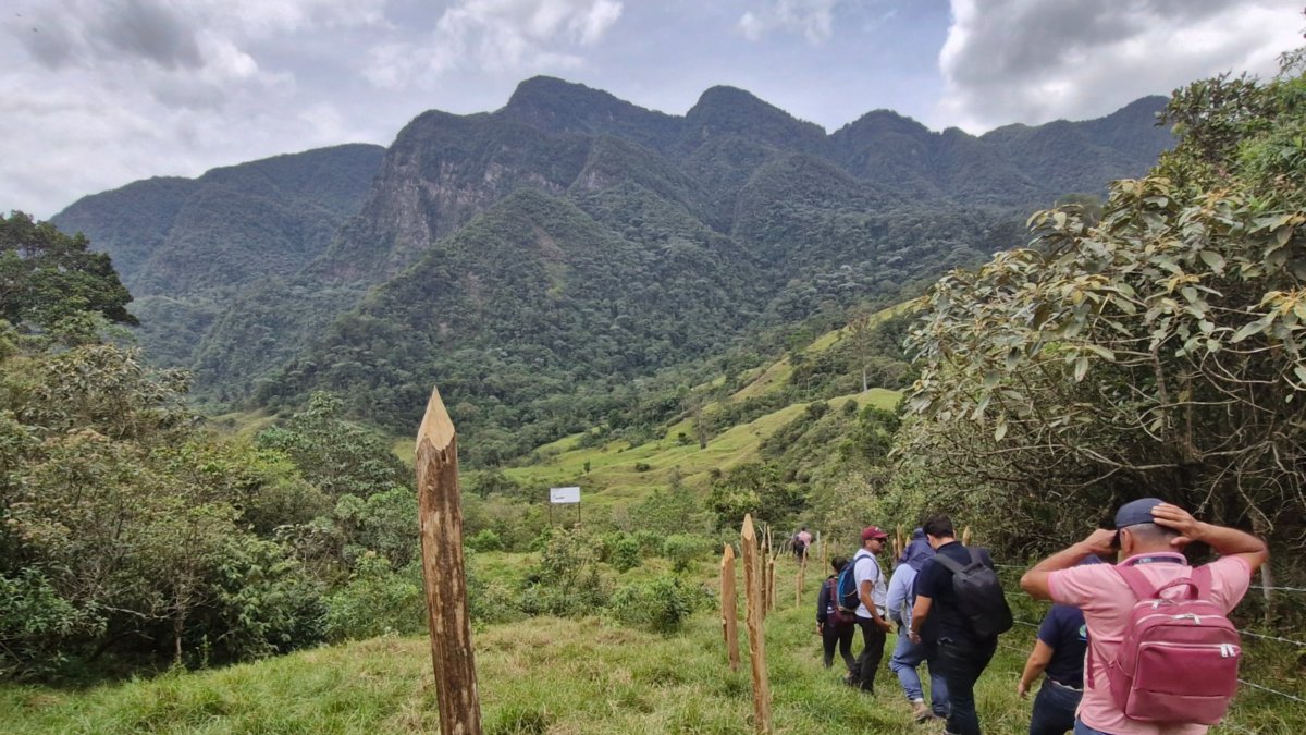 CAR busca que la reserva Peñas del Aserradero, en Sasaima, haga parte del Sistema Nacional de Áreas Protegidas