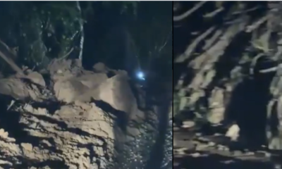 se reporta un intervalo que mantiene incomunicado el municipio de Medina