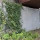 ahora los puentes de bogotá tendrán jardines que trepan por el concreto