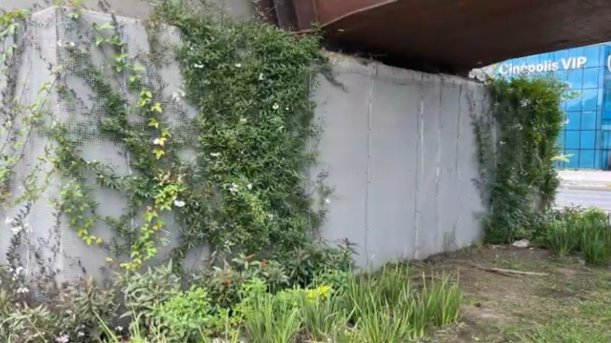 ahora los puentes de bogotá tendrán jardines que trepan por el concreto