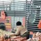 cebolla, tomate, papa en estación del sistema