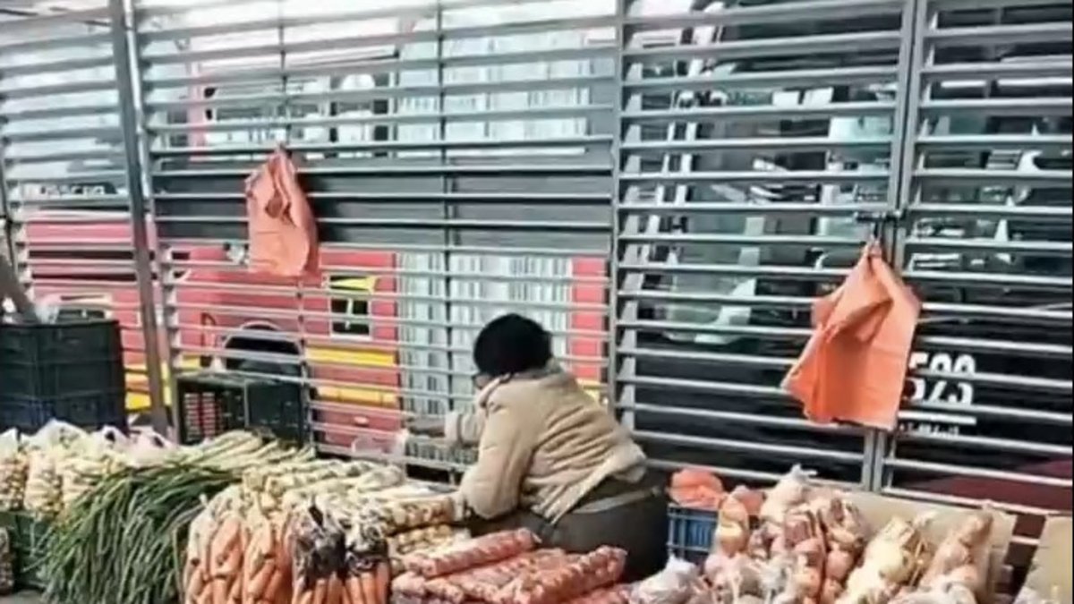cebolla, tomate, papa en estación del sistema