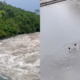 Vídeo| Angustiante momento en el que una pareja se salva de ser arrastrada por la creci