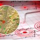 Temblor hoy en Colombia | Reportan sismo en la noche de este 27 de octubre; epicentro, magnitud y profundidad