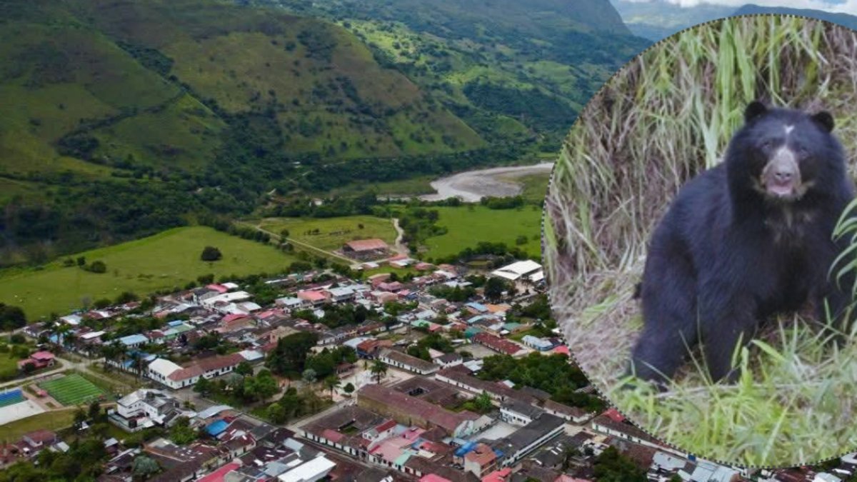 ahora los campesinos los protegen