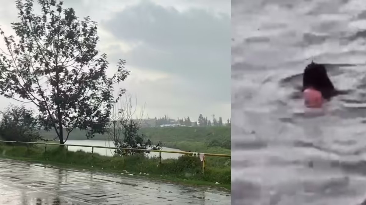 había denunciado maltrato por parte de su expareja