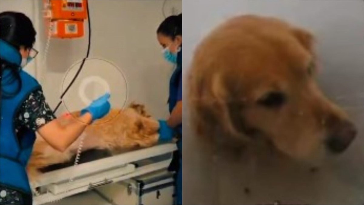 'Dolor en la columna y las costillas'