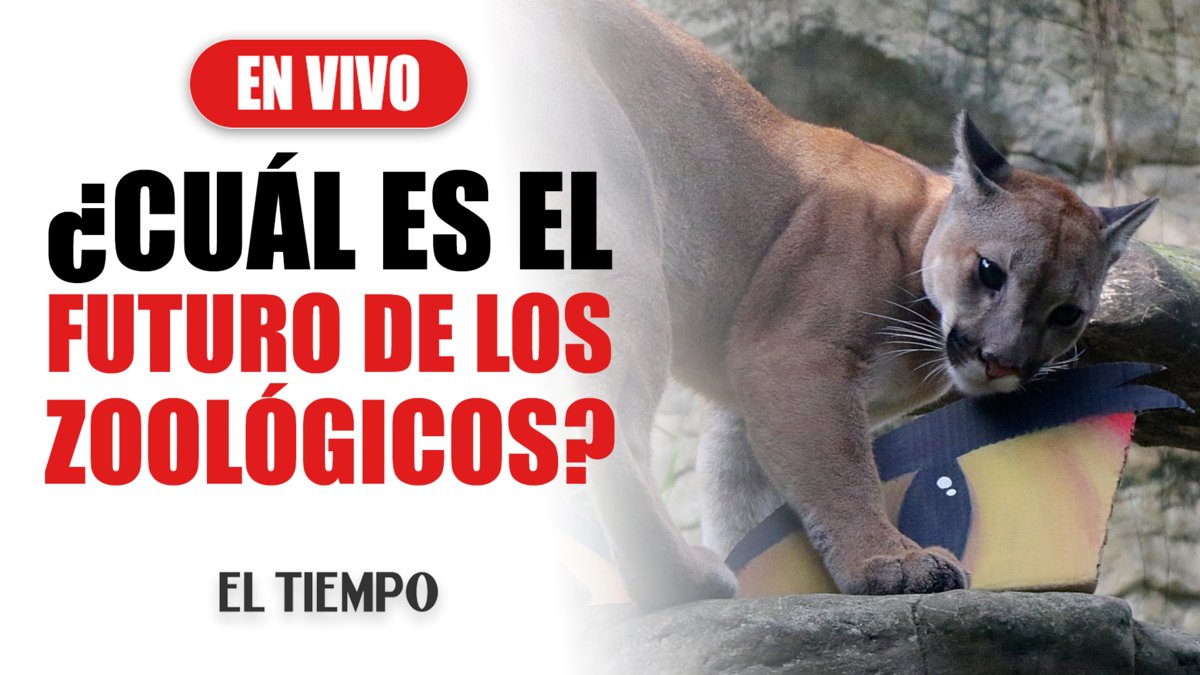 ¿Cuál es el futuro de los zoológicos?