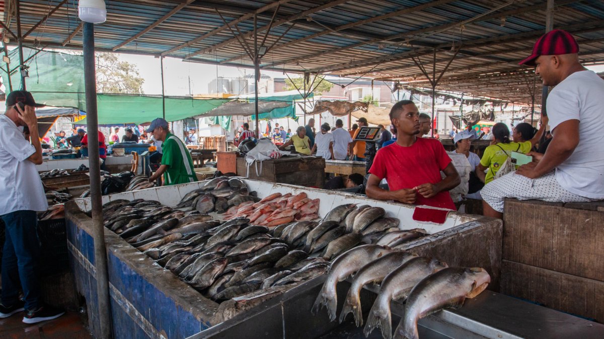 anuncian renovación para la Plaza del Pescado y Barranquillita; la inversion supera los $45 mil millones