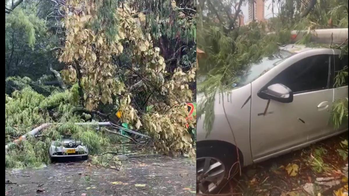 en lo que va de 2025 se han atendido más de 6.800 emergencias, de las cuales, 1.844 han sido ocasionadas por fuertes lluvias