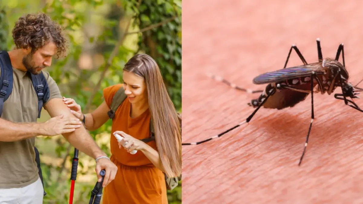 Atlántico refuerzan la ofensiva contra el dengue en los 22 municipios; el departamento registra 3.143 casos confirmados, 53 tumbas y un fallecido