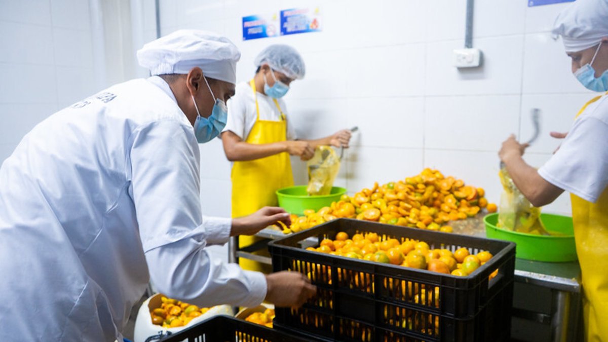 un motor que genera más de $6 billones pero aún enfrenta pérdidas en construcción y fabricación