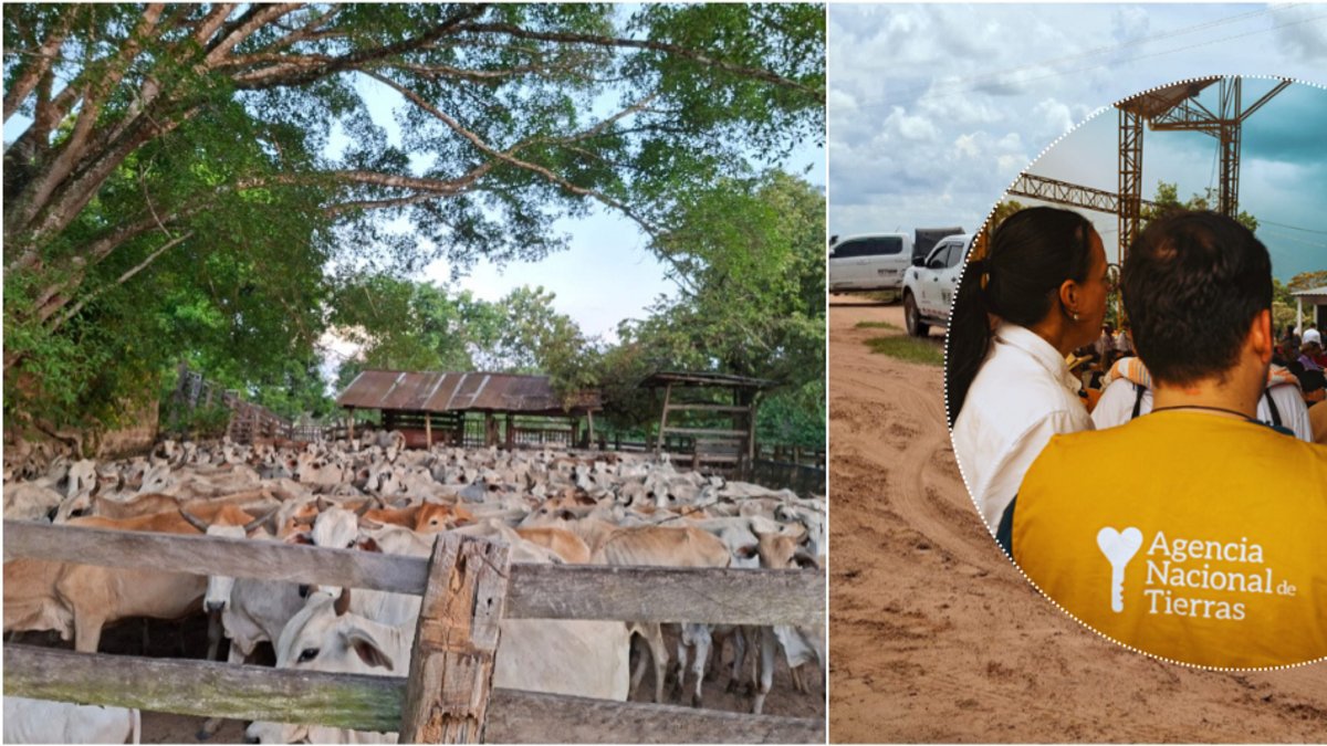 Bunshiro Takemoto, ganadero japonés que sobrevivió a dos secuestros y fundó escuela de prácticas en Meta, señala a la ANT de despojarlo de sus tierras