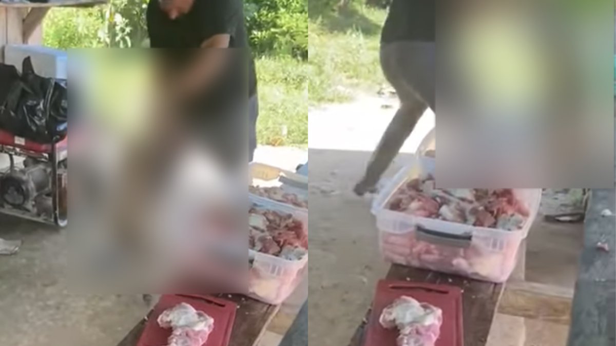 Alcalde de Sonsón (Antioquia) afirmó que el hombre que provocó la muerte de un perrito se entregará a las autoridades: 'Que se haga justicia'