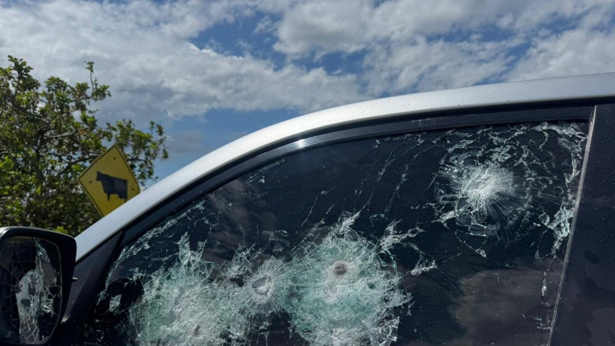 investigan al Eln ya disidencias Farc