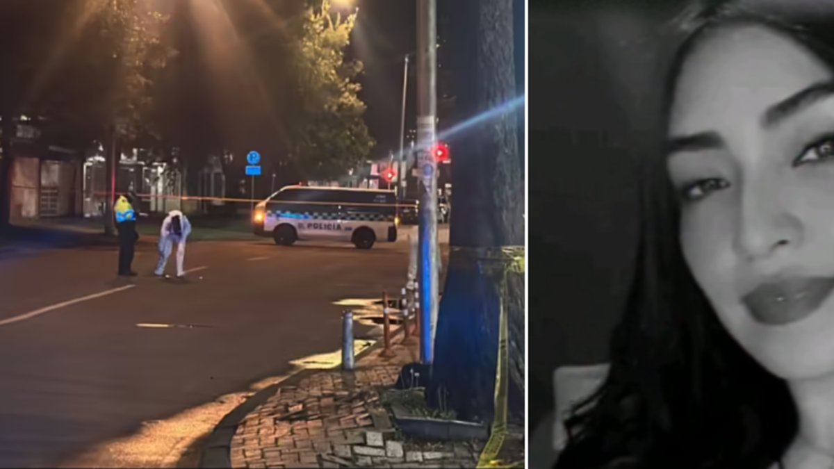 Se conocen nuevos detalles de la noche en la que hombre atropelló y le provocó la muerte a Laura Fabiana León en Suba, Bogotá: 'Rompen el panorámico'