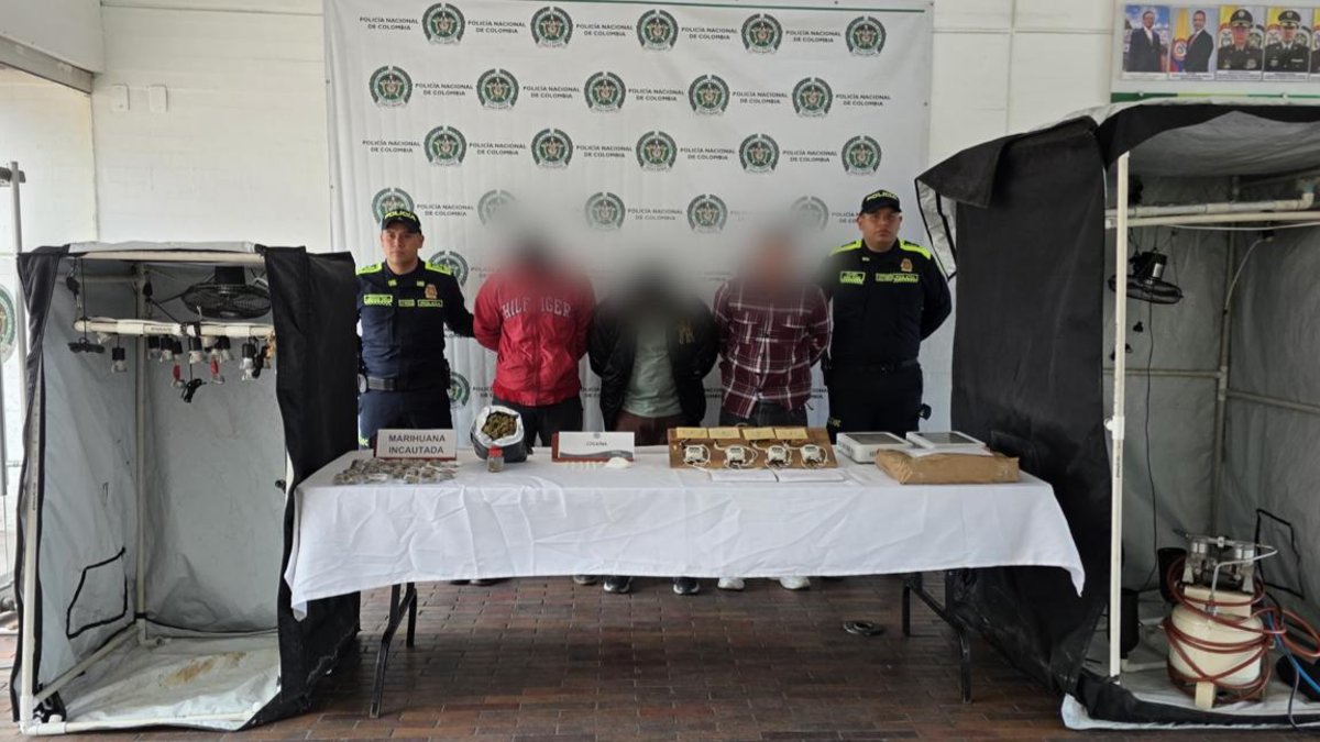 Descubren cultivo hidropónico de marihuana en vivienda de Ciudad Bolívar que surtía par