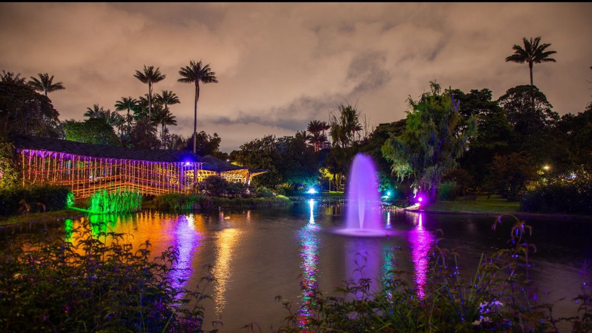 La Navidad se enciende en el Jardín Botánico con un recorrido nocturno lleno de experiencia.