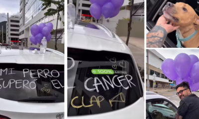 ‘Influencer’ Camilo Triana celebró con moteros y conductores en Bogotá que su perro le ganó la batalla al cáncer: “Te amo, Magnus”
