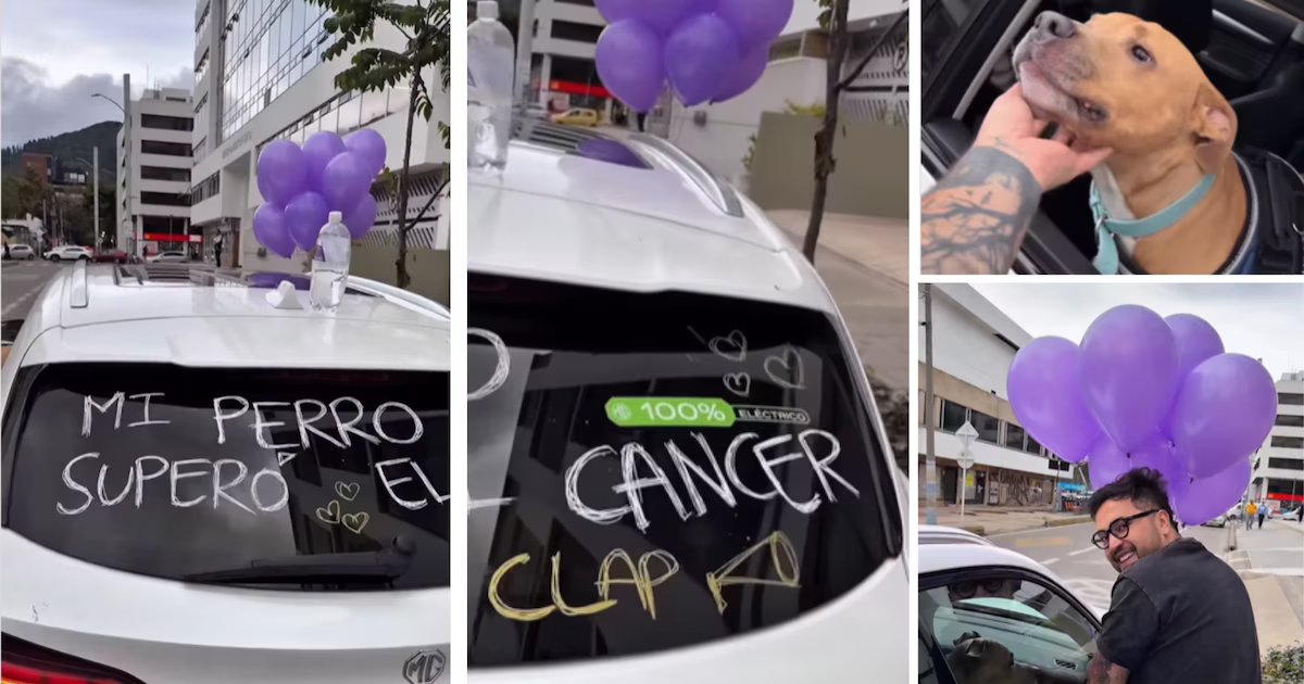 ‘Influencer’ Camilo Triana celebró con moteros y conductores en Bogotá que su perro le ganó la batalla al cáncer: “Te amo, Magnus”