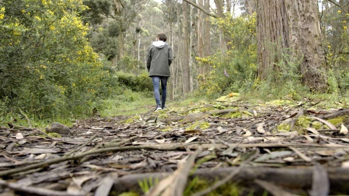 Conozca los cierres vigentes en los cerros de Bogotá por las fiestas de fin de año