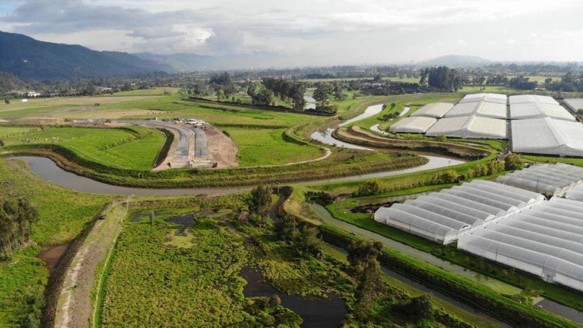 Las claves de la decisión de la ANLA sobre la Troncal de los Andes