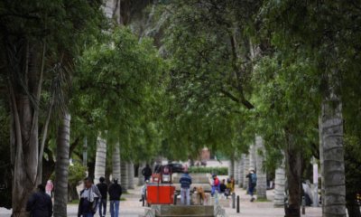 Bogotá supera los 4 millones de metros cuadrados intervenidos en vías, andenes y ciclorrutas