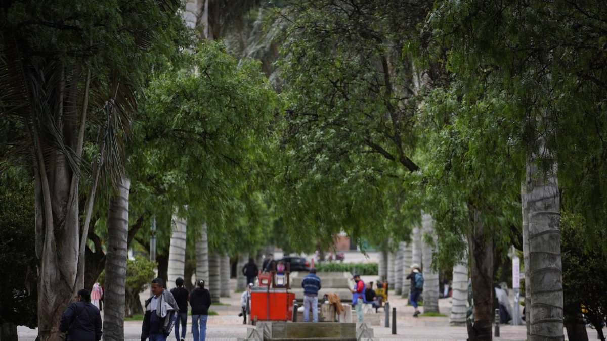 Bogotá supera los 4 millones de metros cuadrados intervenidos en vías, andenes y ciclorrutas