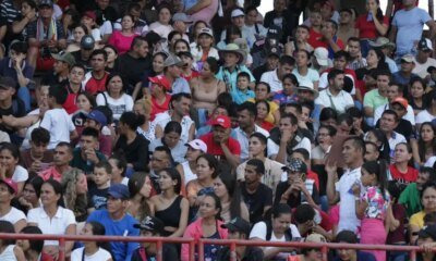 Defensoría del Pueblo pide atención humanitaria y alerta por hostilidades en el Catatumbo