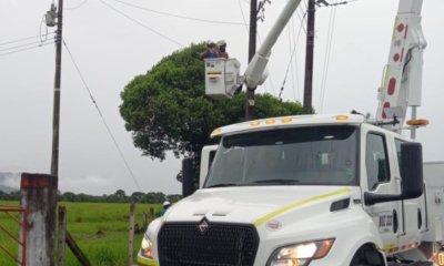 Bogotá y municipios aledaños tendrán cortes de luz este 29 de diciembre por mantenimiento de redes: conozca los barrios afectados
