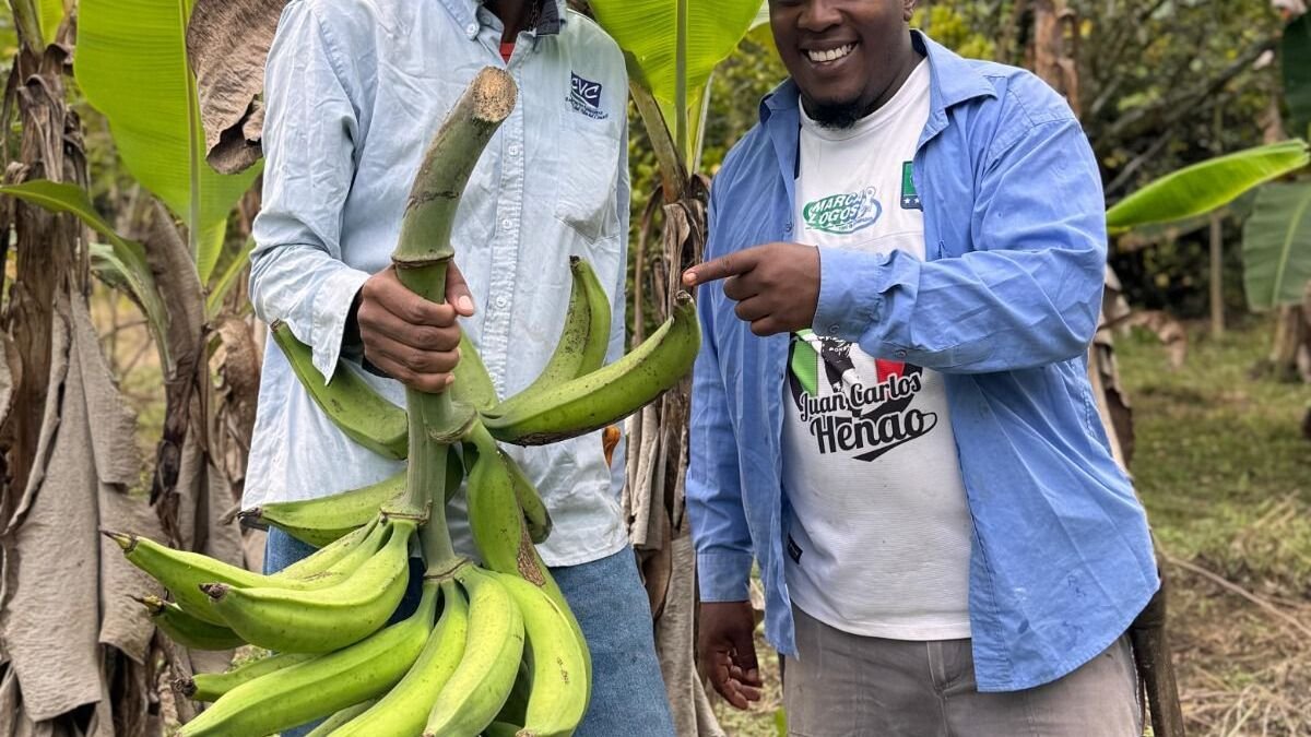 Propuestas de energía sostenible, producción de cacao y otros proyectos recibirán capital semilla en Valle y Cauca: ¿de qué se trata la iniciativa?
