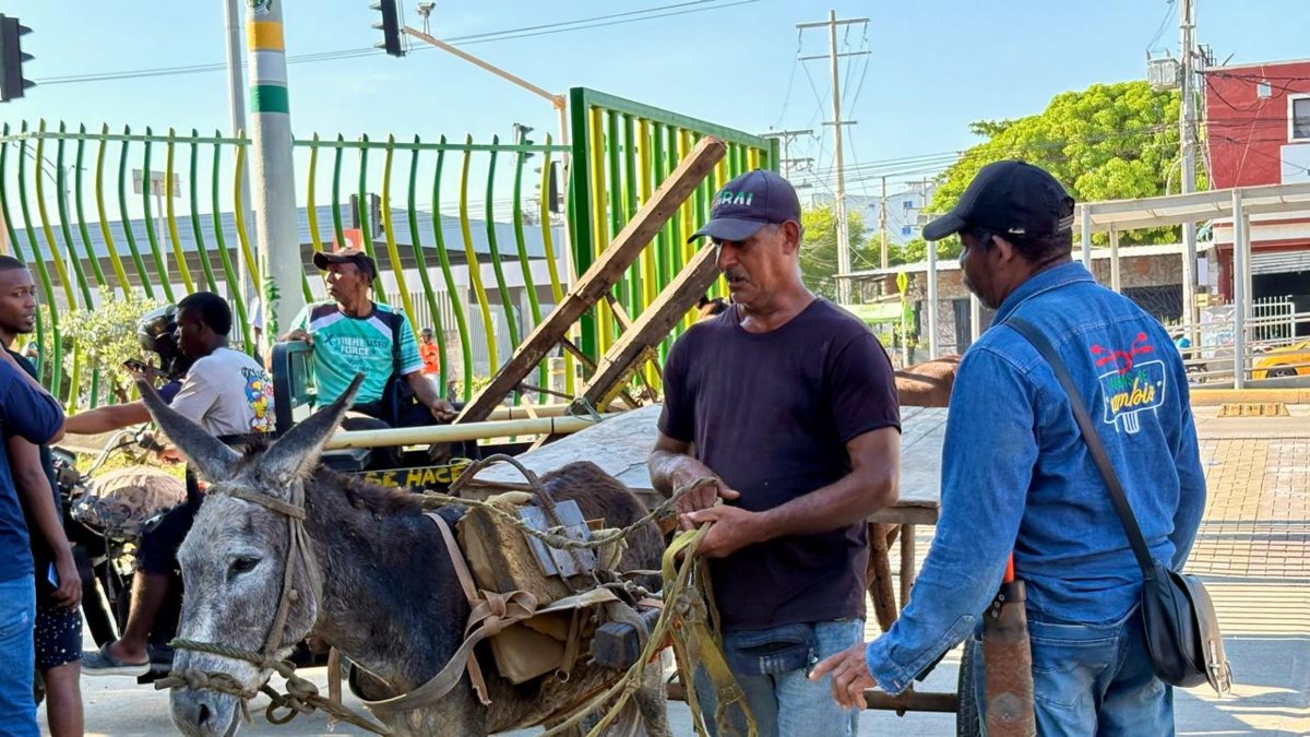 Cartagena entra en la historia al erradicar la tracción animal de las calles.