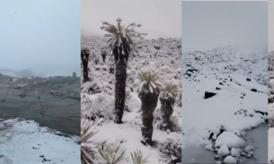 Nevado de El Cocuy se cubre de nieve tras más de 12 horas de precipitación y deja paisajes inéditos en varios puntos de la alta montaña