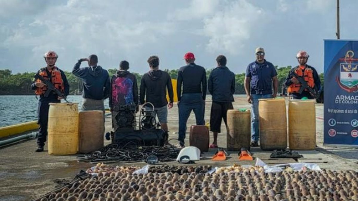 Armada de Colombia intercepta embarcación nicaragüense con más de 180 kilos de pesca ilegal en San Andrés