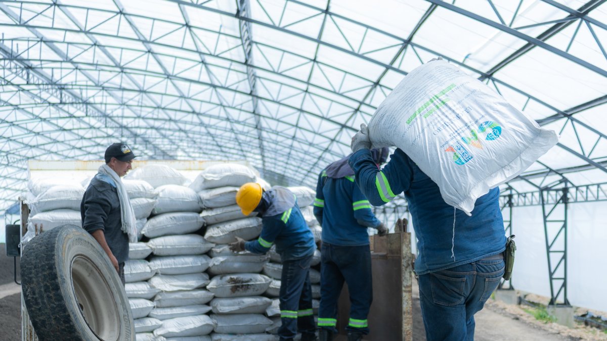 CAR entrega los primeros 10 mil bultos de fertilizante orgánico producido con planta invasora de Fúquene