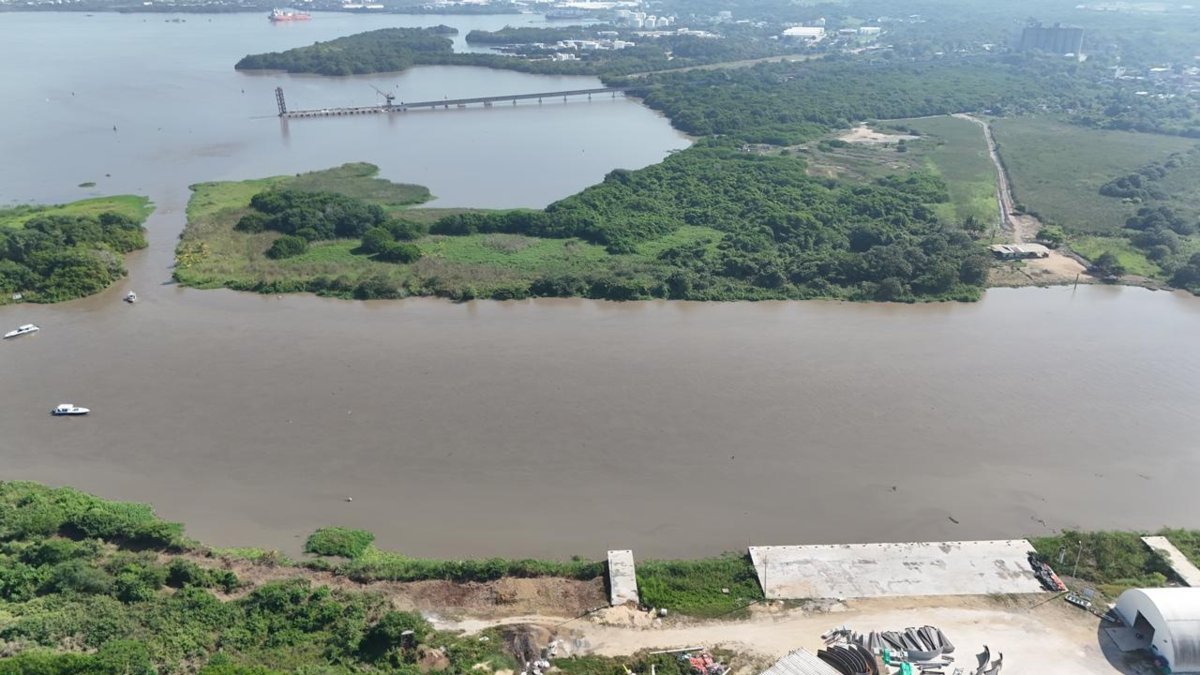las graves afectaciones ambientales y económicas que podrían generar en Cartagena daño ambiental causado por el Canal del Dique