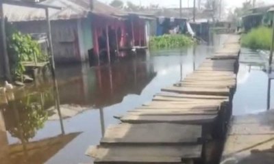 inversiones son nulas para evitar las inundaciones y arroceros se declaran en quiebra
