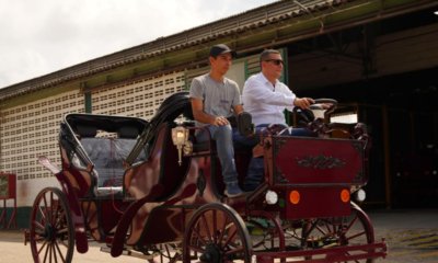 hoy finaliza la tracción animal para turismo