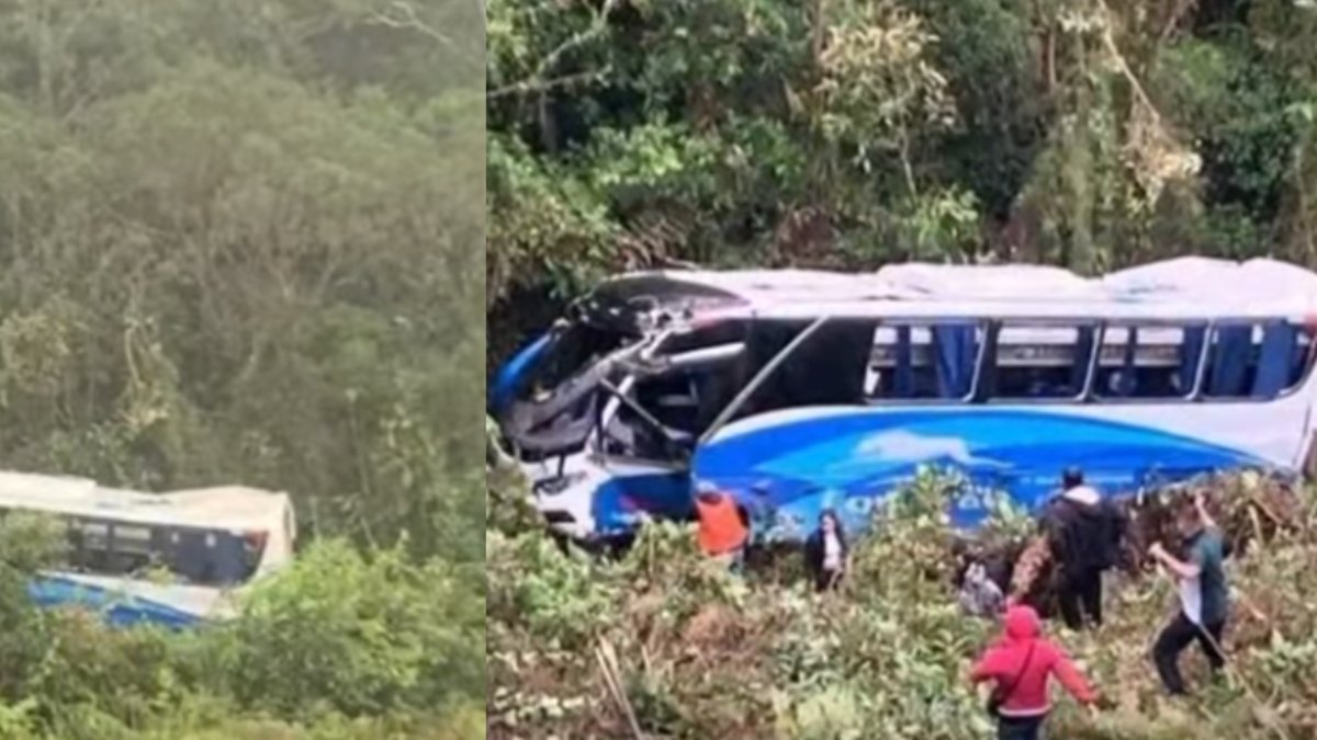 Copetran se pronunció por grave accidente de autobús que cayó por abismo varios metros en vía entre Bucaramanga y Arauca: revelan identidad del fallecido