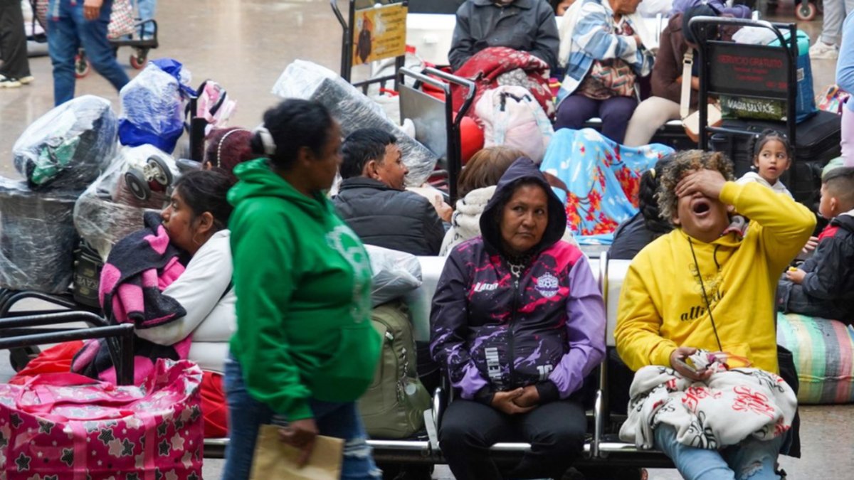familias pasan la noche buscando entradas