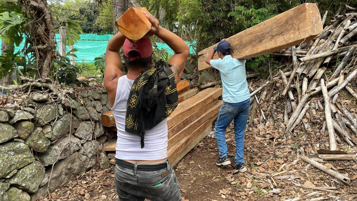 Autoridades incautan 18 metros cúbicos de madera ilegal en operativos conjuntos en Cund