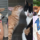 Cuidado con sus mascotas en Navidad y Año Nuevo: estas son las recomendaciones que debe tener frente a los estruendos por pólvora