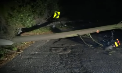 Así se salvó motociclista de ser aplastado por un árbol cuando transitaba por la avenida Circunvalar de Bogotá: 'Prácticamente me cayó encima'