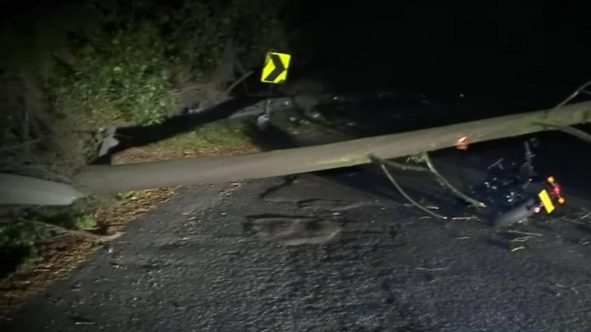 Así se salvó motociclista de ser aplastado por un árbol cuando transitaba por la avenida Circunvalar de Bogotá: 'Prácticamente me cayó encima'